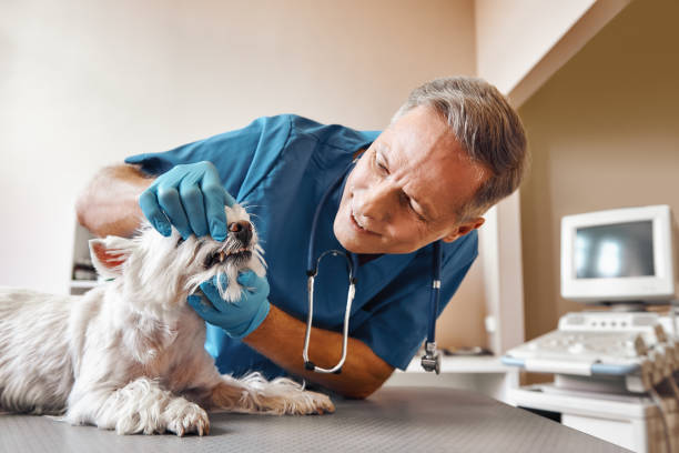 Best Emergency Wisdom Tooth Extraction in Wahese, NC